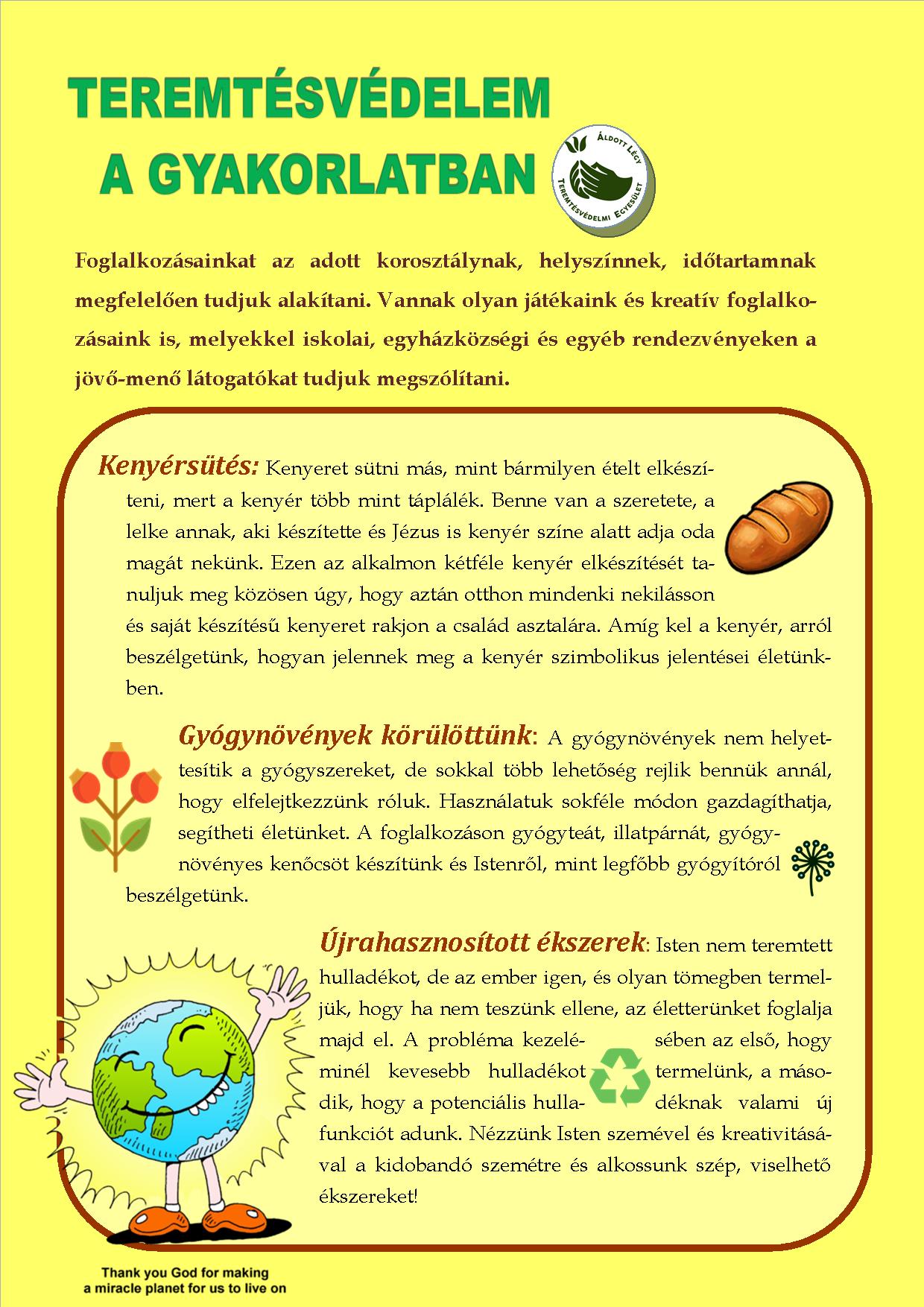 ALTE PROGRAMAJANLO 2